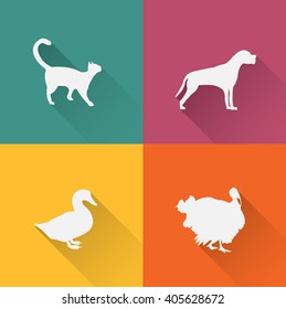 rabbit,Dog,Duck,Turkey
