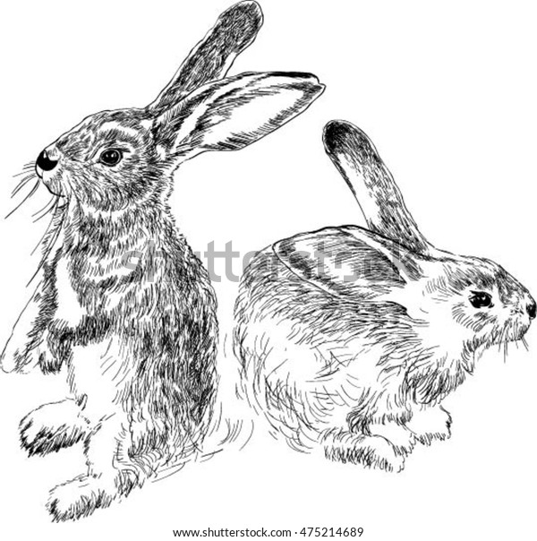 Rabbits Black White Drawing Stock Vector (Royalty Free) 475214689