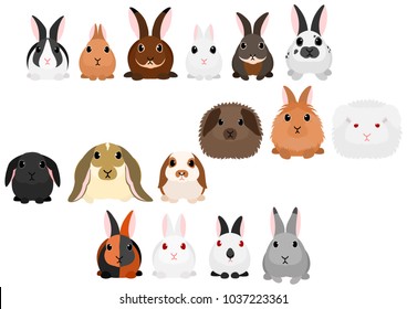 rabbits border set