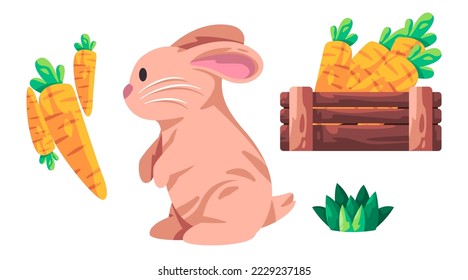 Rabbits bunnies or bunny cute adorable animal with furry hair in brown color with carrot food