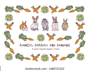 Rabbits carrots cabbage and border isolate objects