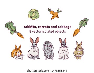 Rabbits carrots and cabbage isolate objects
