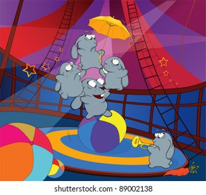 Rabbits and circus. Cartoon