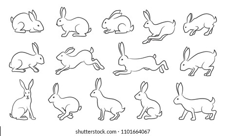 rabbits comics line on the white background