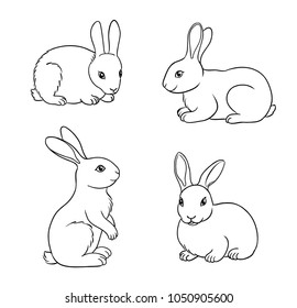 Rabbits in contours. Vector illustration. EPS8