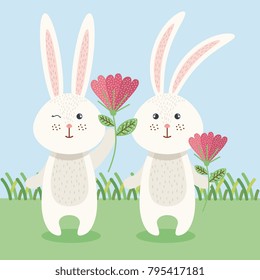 rabbits couple in garden