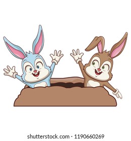 Rabbits couple in ground