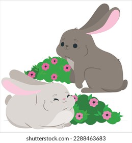 Rabbits. Cute little Easter bunny in the meadow. Green grass under the sunbeams. two rabbits on a green grass in summer day.