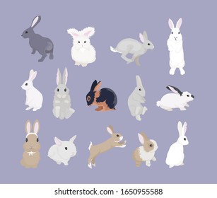 Rabbits of different breeds. Set of Easter bunnies.