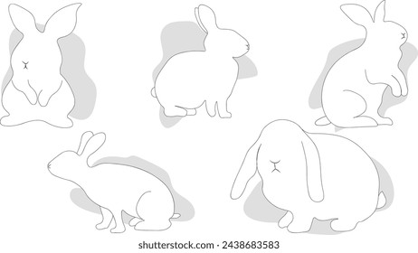 Rabbits in different poses. Vector illustration for coloring book.