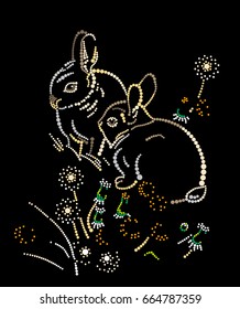 Rabbits in the grass