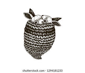 Rabbits in a hat