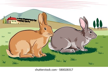 Rabbits in a landscape.