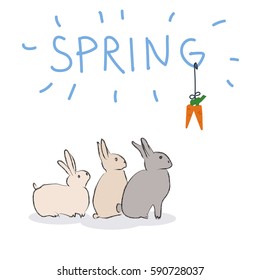 Rabbits on a white background, sitting and looking at carrot