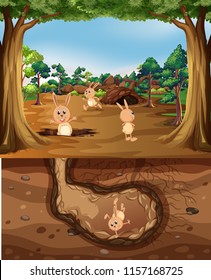 Rabbits playing underground vector illustration