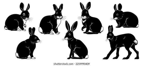 Rabbits Silhouettes. Vector cliparts isolated on white.