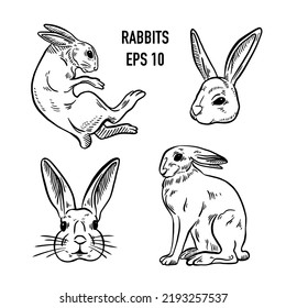 Rabbits are sitting and jumping. Forest bunny or coney Collection. Hand drawn engraved old sketch for T-shirt, tattoo or label or poster.