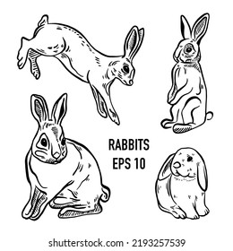 Rabbits are sitting and jumping. Forest bunny or coney Collection. Hand drawn engraved old sketch for T-shirt, tattoo or label or poster.