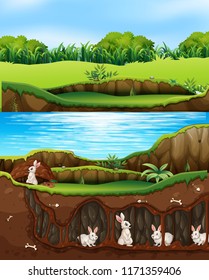 Rabbits In An Underground Tunnel System