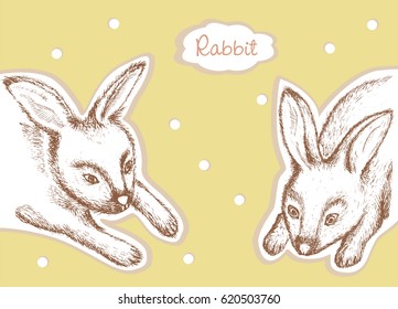 Rabbits. Vector illustration.