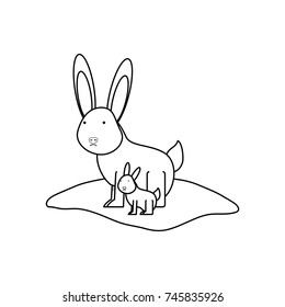 rabbits vector illustration