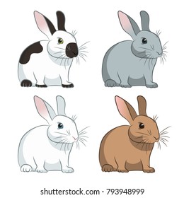 Rabbits vector illustration on a white background. Purebred bunny.