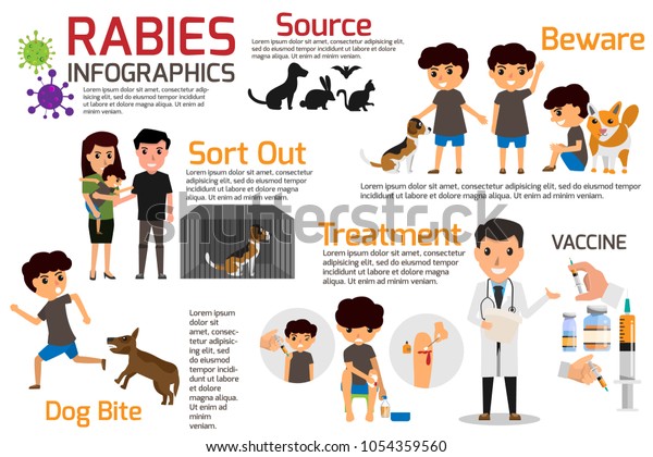 Rabies Infographics Illustration Rabies Describing Symptoms Stock ...