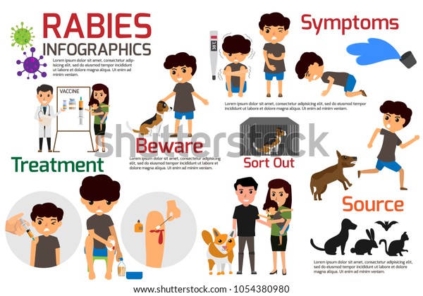 Rabies Infographics Illustration Rabies Describing Symptoms Stock ...