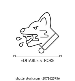 Rabies linear icon. Viral pet disease. Virus transmitted through bite. Animal infection. Thin line customizable illustration. Contour symbol. Vector isolated outline drawing. Editable stroke