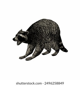 Raccon wildlife animal ilustration for logo template or mascot 