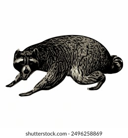 Raccon wildlife animal ilustration for logo template or mascot 