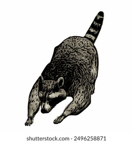 Raccon wildlife animal ilustration for logo template or mascot 