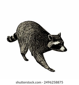 Raccon wildlife animal ilustration for logo template or mascot 