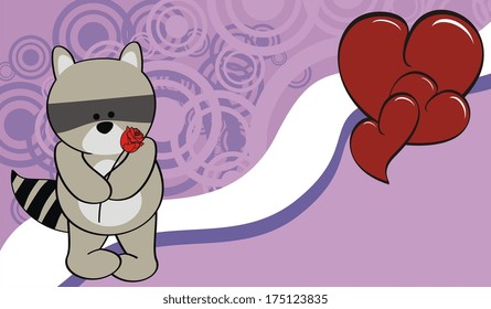 raccoon