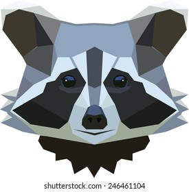 Raccoon