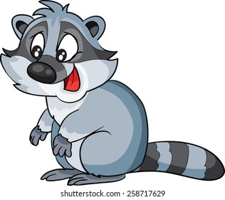 Raccoon