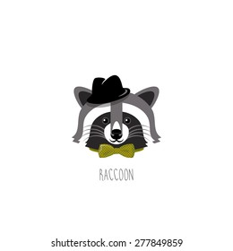 raccoon
