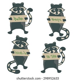raccoon