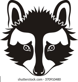 raccoon