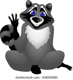 Raccoon