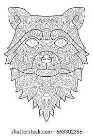raccoon