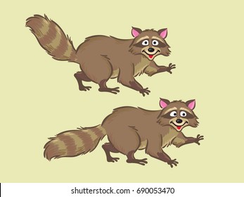 raccoon 