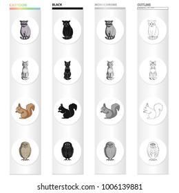 Raccoon, animal, cat, and other web icon in cartoon style.Nature, zoo, reserve, icons in set collection.