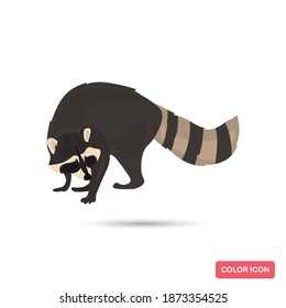 Raccoon animal color flat icon