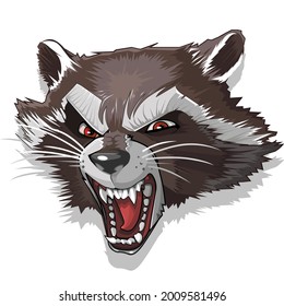 Raccoon animal head with angry face 