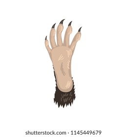 Raccoon animal paw vector Illustration on a white background