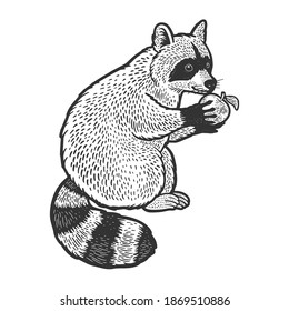 raccoon and apple sketch engraving vector illustration. T-shirt apparel print design. Scratch board imitation. Black and white hand drawn image.