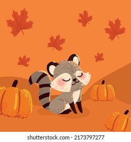 raccoon and autumn food with leaves