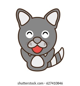 raccoon baby animal funny image