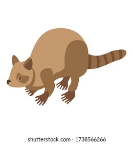 Raccoon beige icon. Isometric of raccoon beige vector icon for web design isolated on white background